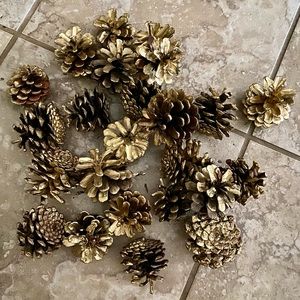 24 Gold Pine Cones 🌲